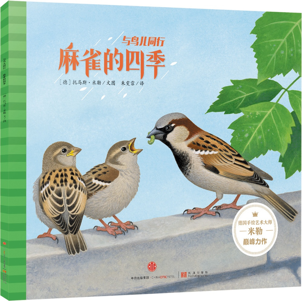 绘本故事《与鸟儿同行:麻雀的四季 适合