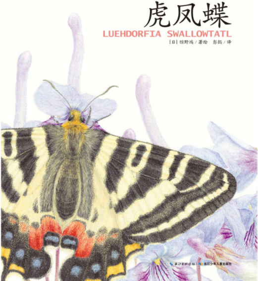 绘本故事《虎凤蝶-馆野鸿科学绘本》- 适合 5-7岁,3-4岁
