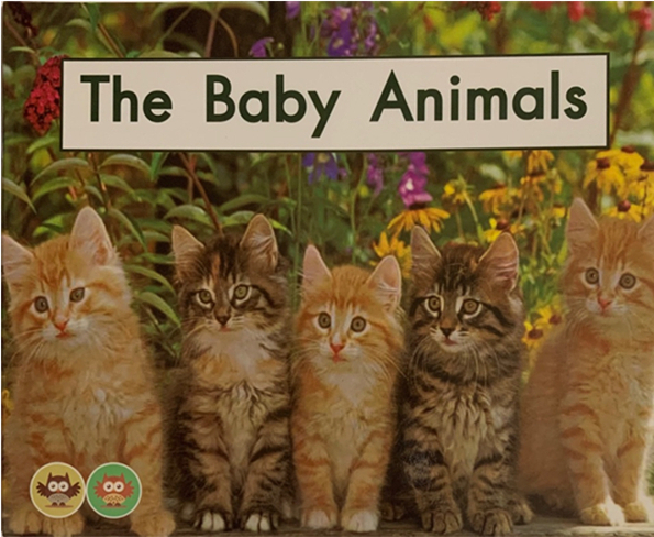 绘本故事《the baby animals-海尼曼分级读物gk-a04》- 适合 5-7岁,3