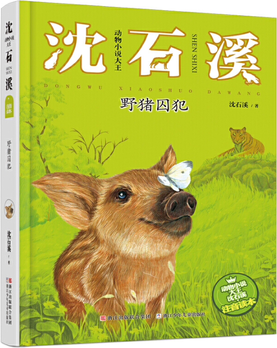 繪本故事野豬囚犯動物小說大王沈石溪注音讀本適合810歲